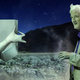 Illustration for article titled James Dyson Meets In Secret With Alien Ambassador To Receive Technology For New Hand Dryer